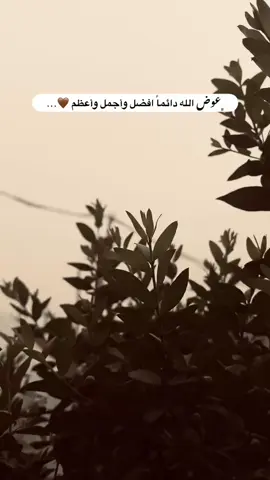 #جزء 8 #تصويري_احترافي_الاجواء👌🏻🕊😴 #لايك_متابعه_لو_عجبكم_فلووووو_تعليق #قناتي_تليجرام_بالبايو💕🦋 #تصويري📸 #لايك_متابعه_اكسبلور #عبارات_جميلة_وقويه😉🖤 #عباراتكم_الفخمه📿📌 