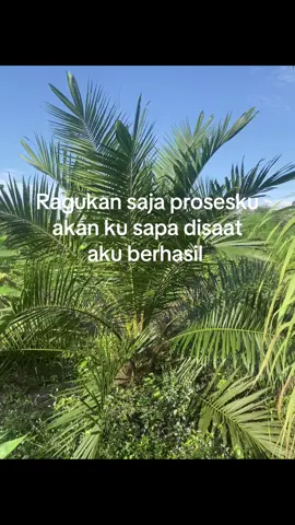 😇#sawitbalap #fypage 