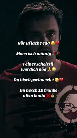 #switzerland #bünzgartha #foryou #swissmeme #kingfishog 