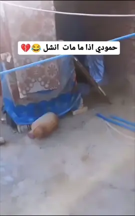 #الشعب_الصيني_ماله_حل😂😂 #fyppppppppppppppppppppppp #tiktok #تيك_توك #ضحك #😂😂😂 #😂😂😂😂😂😂😂😂😂😂😂😂😂😂😂 