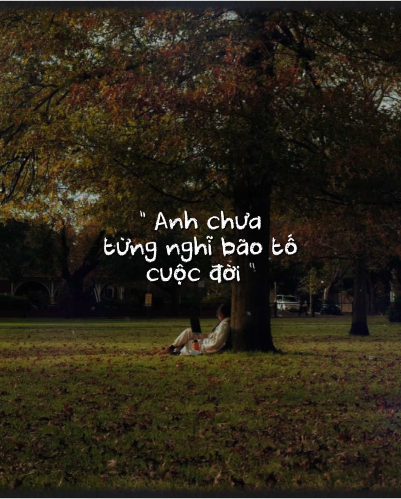 Anh chưa từng nghĩ bão tố cuộc đời… 