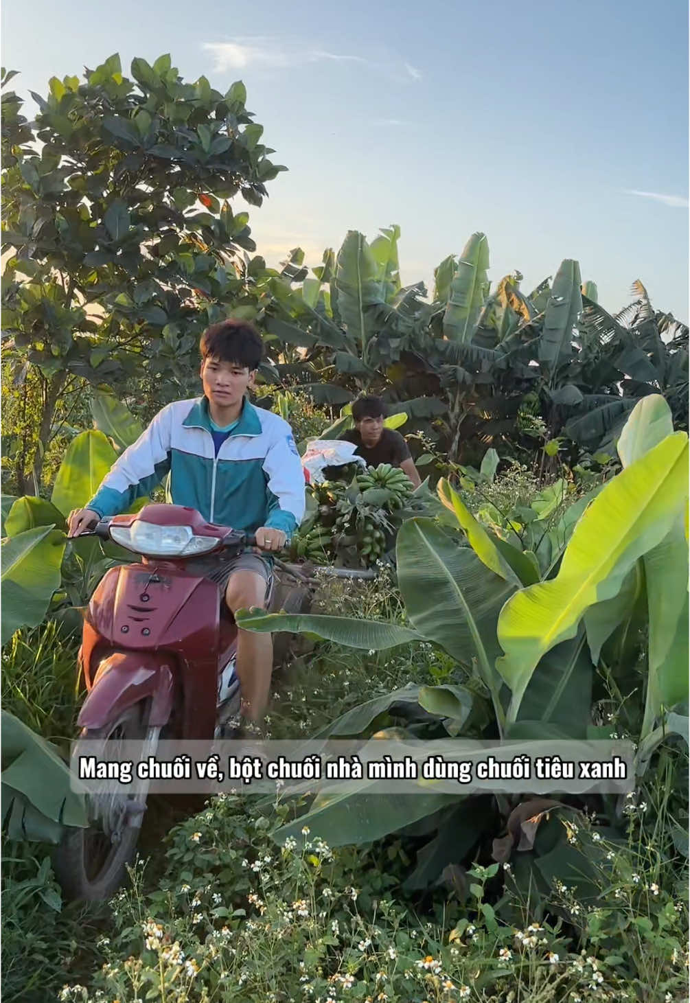 Bột chuối tiêu xanh để làm gì á#ducnha 