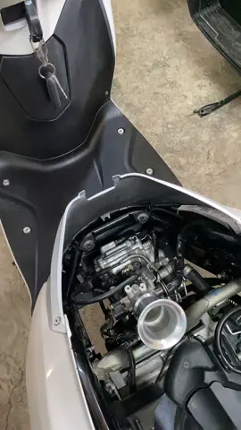 ลูก53ครับ🤣🦗#หรีด125ดิวะ #จิ้งหรีด🦗🦗 #Lead #ฟีดดดシ #ขึ้นฟีดเถอะ 