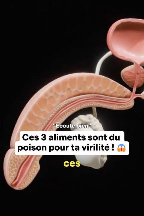 Ces trois aliments font baisser ton taux de testostérone🚨 #fyp #santé #shilajit #nourriture #france