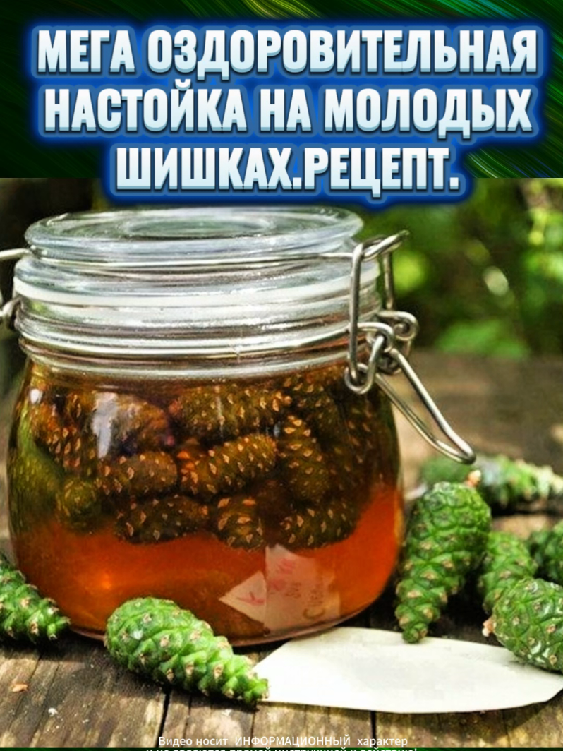Мега оздоровительная настойка с молодых шишек#настойкасмолодыхшишек #настойотинсульта #тиктокпропустиврекомендации #информация #информацияоздоровье ##наронаямедицина #сосновыепочки #здоровьеикрасота #самсебедокторviktor #настойсосновыешики #поднятьиммунитет #сосновыпочкирецепт настойкамолодыхшишек#сосновыешишкинастойкараствор 