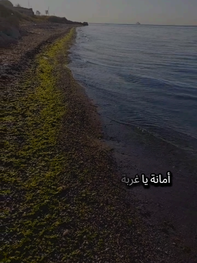 أمانة يا غربة خفي علينا تقلي الحمل ومش قادرين  #تركيا #اسطنبول #الغربة #مغترب #شعروقصايد 