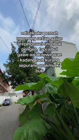 supurane nggeh buk #foryou #ibu #ngabekti #anaklanang 
