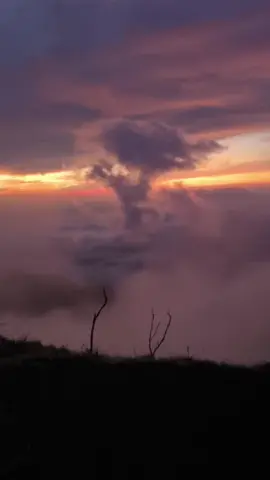 mengabarkan guntur pagi hari #gunungguntur #mtcikahurivan #guntur #gunungguntur2249mdpl #gununggunturviacikahuripan 