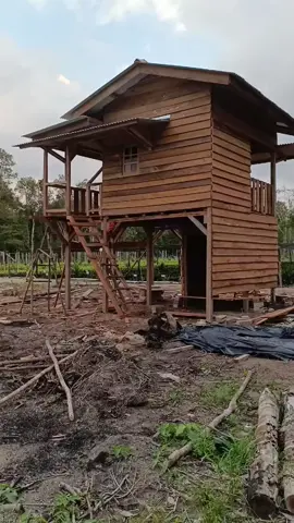 update terkini pondok kebun#pondokkebun #pondokidaman  #pondoksawit #sawitontiktok 