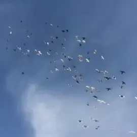 اطير لك حمام البال وفقد كل ليله سرب 💔💔 #تصميم_فيديوهات🎶🎤🎬 #اكسبلورexplore #ترند 