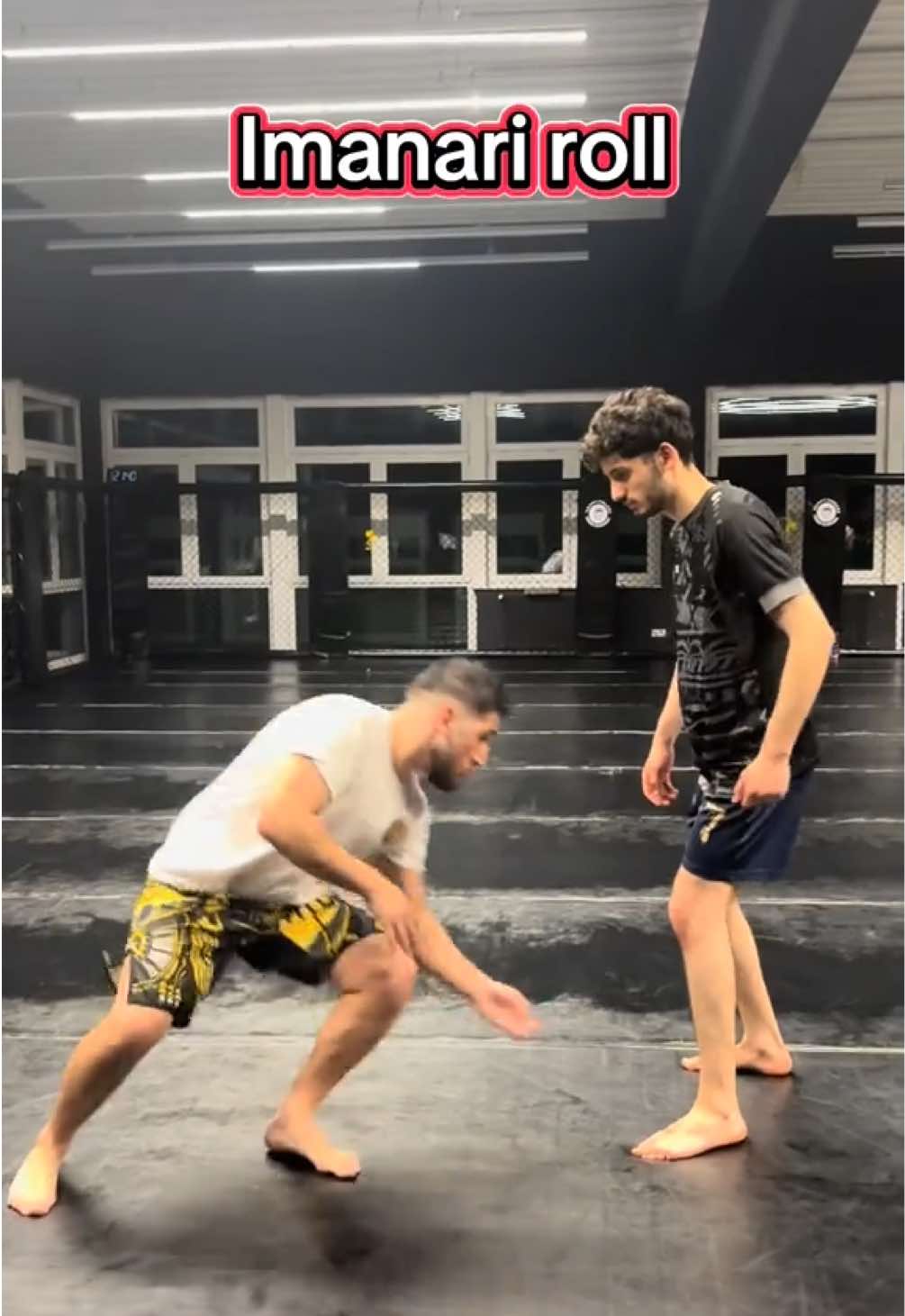 Like a snake 🐍  #mma #grappling #viral #fyp #fürdich #jiujitsu #jiujitsugrappling #bjj #technik #tutorial 