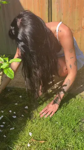 blossom picking 