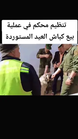 #كبش_العيد_2025 #عيد_الأضحى_2025 #❤️ #متابعة #إكسبلور #الجزائر #🇩🇿 
