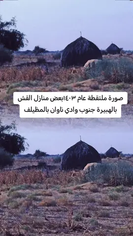 #القنفذة_المظيلف_دوقة_القوز_حلي #المملكه_العربيه_السعوديه #اكسبلورexplore 