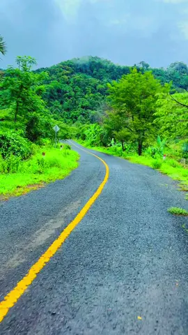 ហត់ពេកលួចម៉ែដើរលេងខ្លះទៅ 🍃💚🥴ក្រោយភ្លៀងរួចក៍ស្រស់ស្រាយ💚🍃#ភ្នំត្បែង #🍃tiktok #fypシ #ធម្មជាតិ #🤍 #ព្រះវិហារផ្ទះខ្ញុំ #ពពក 