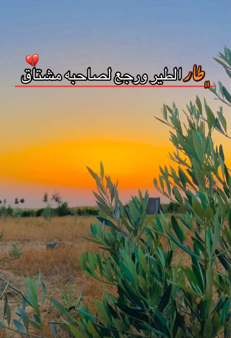 #تصويري #عباراتكم_الفخمه📿📌 #مجرد________ذووووووق🎶🎵💞 #اخر_عباره_نسختها🥺💔🥀 #مصمم_فيديوهات🎬🎵 #عبارات_حزينه💔 