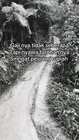 Laki laki lahir kerj mati