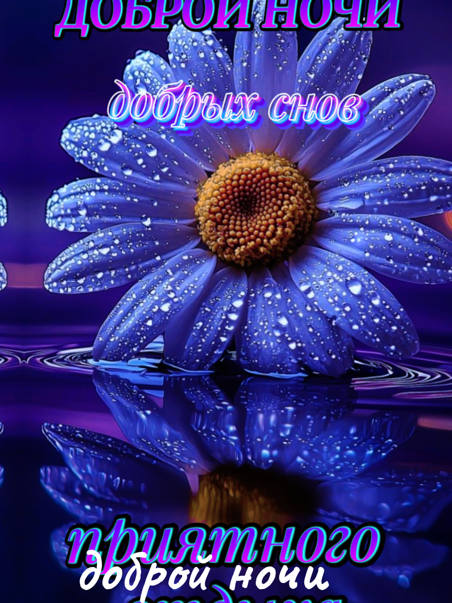 #добройночи  #добрыхснов  #приятногоотдыха 