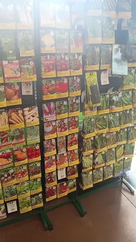 I'm going to start gardening 🤗 #gardening #fyp #sadness #hobbie #senparentsoftiktok 