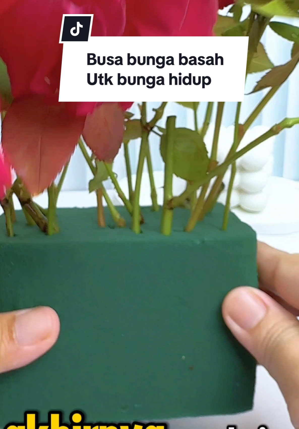 Wet Foam, untuk bunga hidup #wetfoam #busabunga #busabungabasah #busabungadekorasi #busabungamurah #busabungaecerdangrosir 