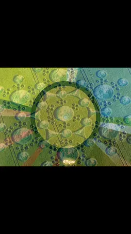 Am Quell des Weltenbaumes #energy #ufo #universe 