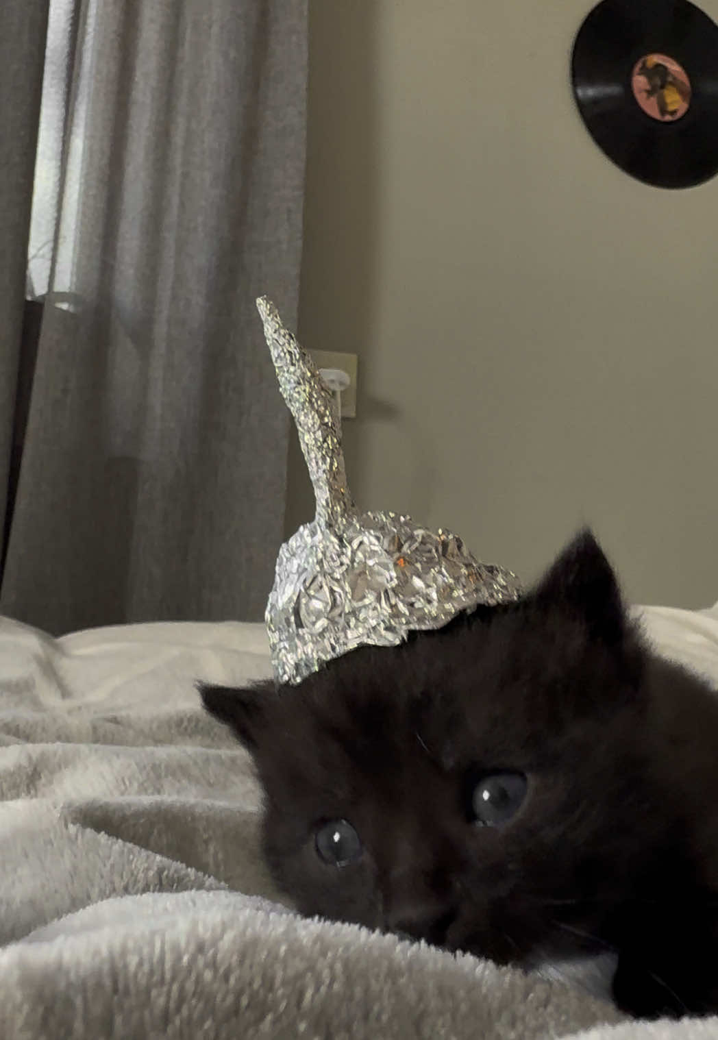 👽 #catbaby #aliencat #fy 