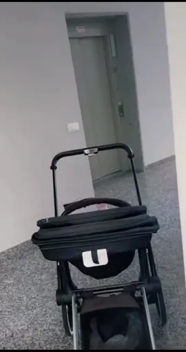 بيبو العصبية 