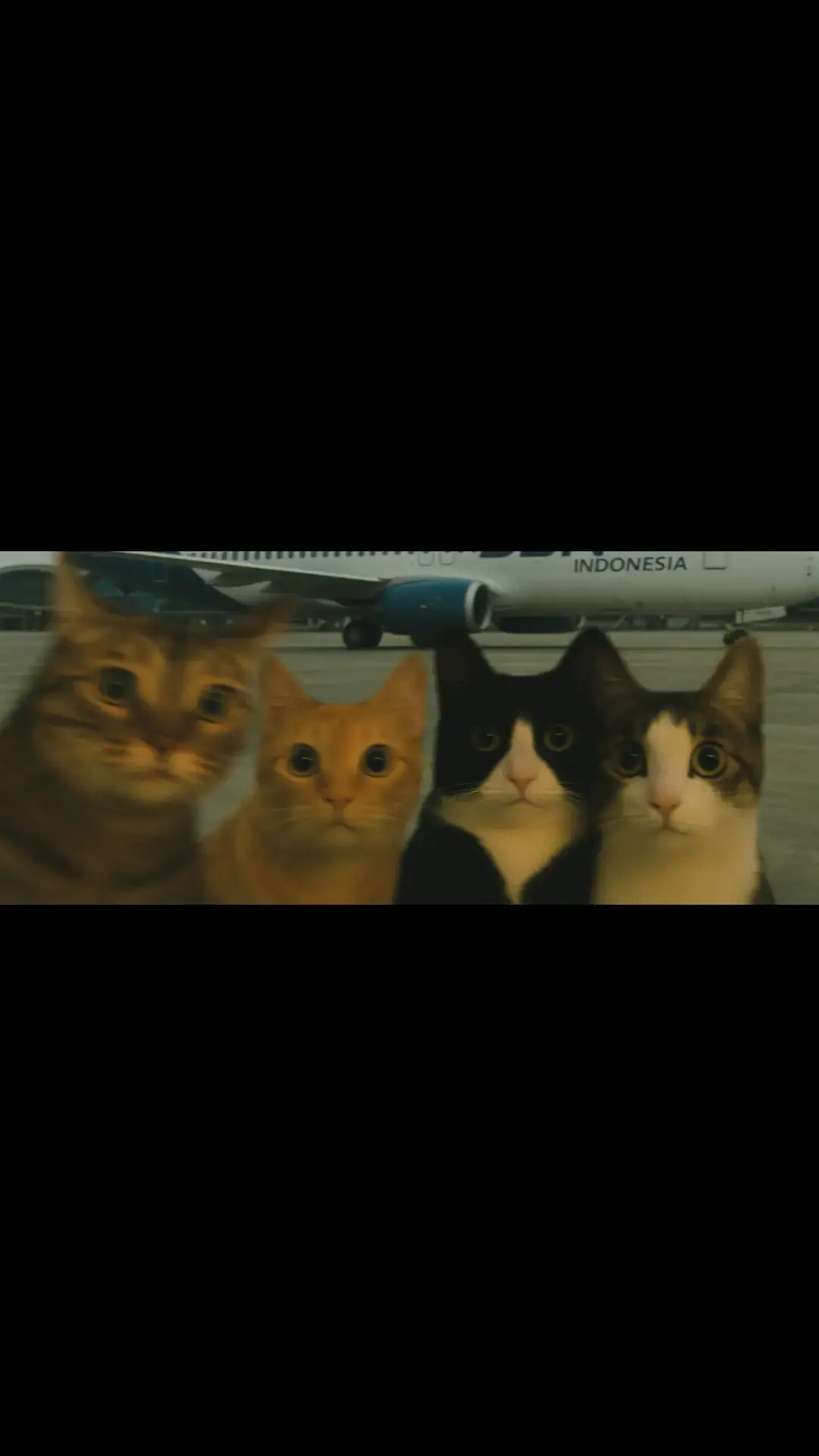 #cat . #promotion 