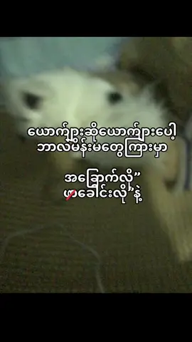 မထိခိုက်လိုပါ#foryoupage #fyp #zuohang3111 #foryoupage 