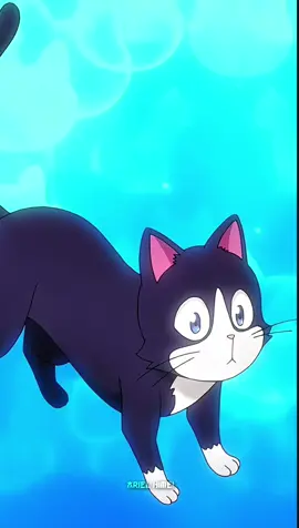 #animeedit #anime #witchwatch #fyp #あにめ 