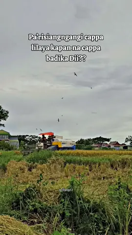 #Pasakkingacor 