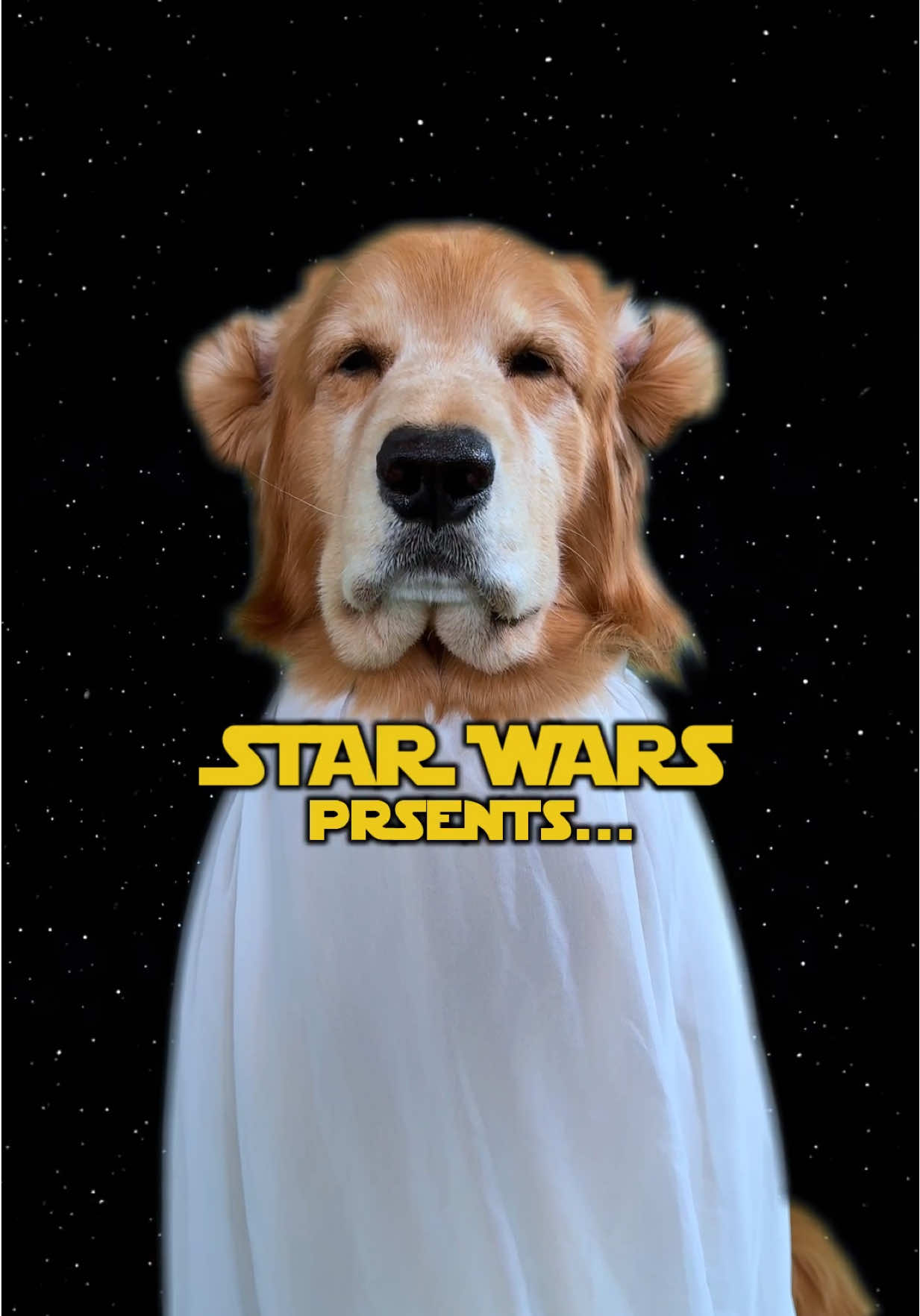 May the 4th be with you 🪐🛸⭐️ #starwars #may4th 