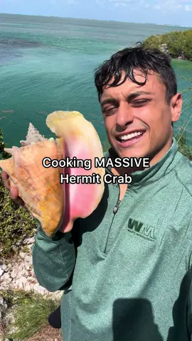 New Crab Unlocked 🔓 #hermitcrab #crab #seafood #seafoodlover 
