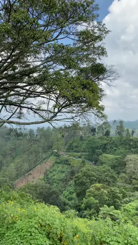 Kita. #CapCut #tiktok #malang24jam 