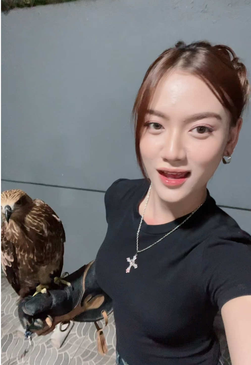 namanya Dolchin 🦅