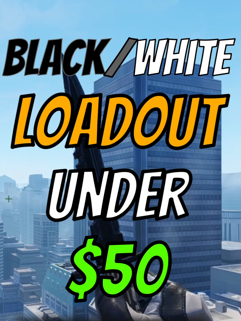 Black and White Loadout under 50€ #cs2 #cs #counterstrike2 #counterstrike #fyp #cs2skins 