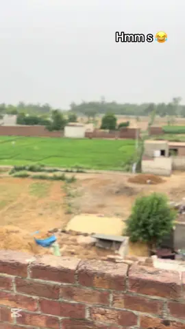 Don,t mind 🤣😂😂😂😁😁#mewatifunnyvideos🤣😂😇 #viralvideo #tiktok #foryoupage 