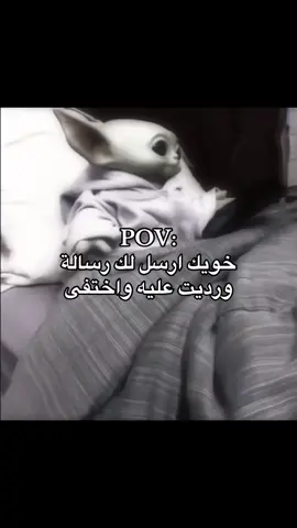 #fyp #foryou #اكسبلورexplore 