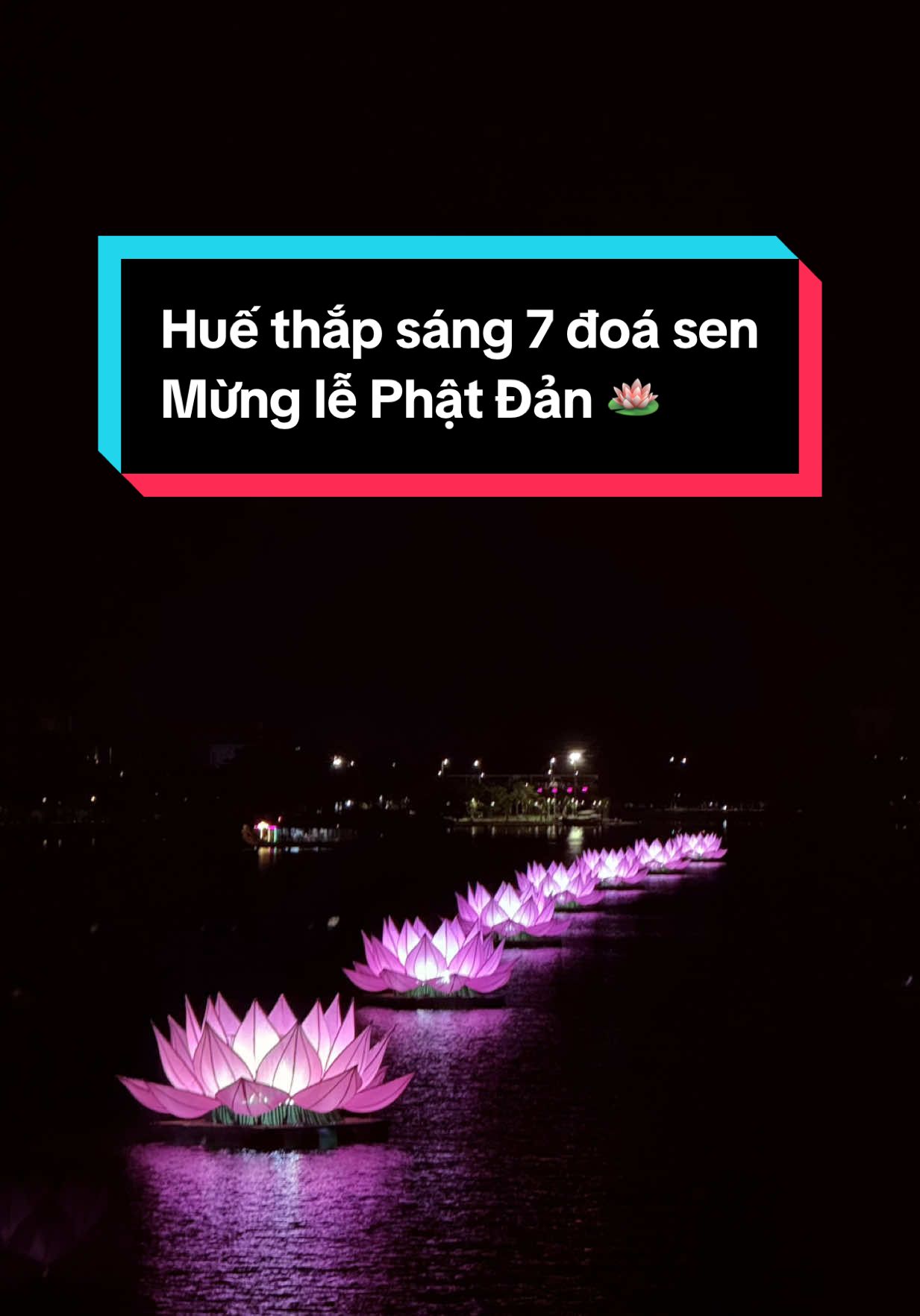 Huế thắp sáng 7 đoá sen Mừng đại lễ Phật đản PL 2569 #hue #vesak #vesak2025 #PL2569 #xh #viral #fyp 
