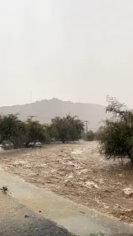 #شواص#سيول_امطار #الجنوب
