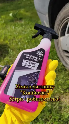 Хімія з магазину Копійочка за 55грн - робить магію! Мийка акумуляторна