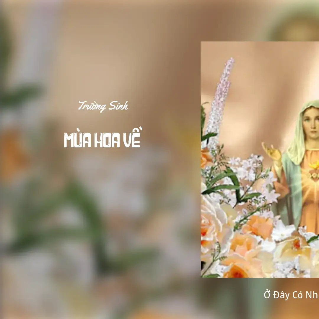 Mùa Hoa Về #tự_hào_là_người_công_giáo  #thanhca  #nhacchua  #nhacconggiao  #muahoave  #thanghoa 
