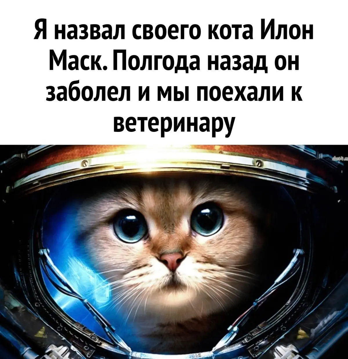 #кот #болезнь #илонмаск #юмор 