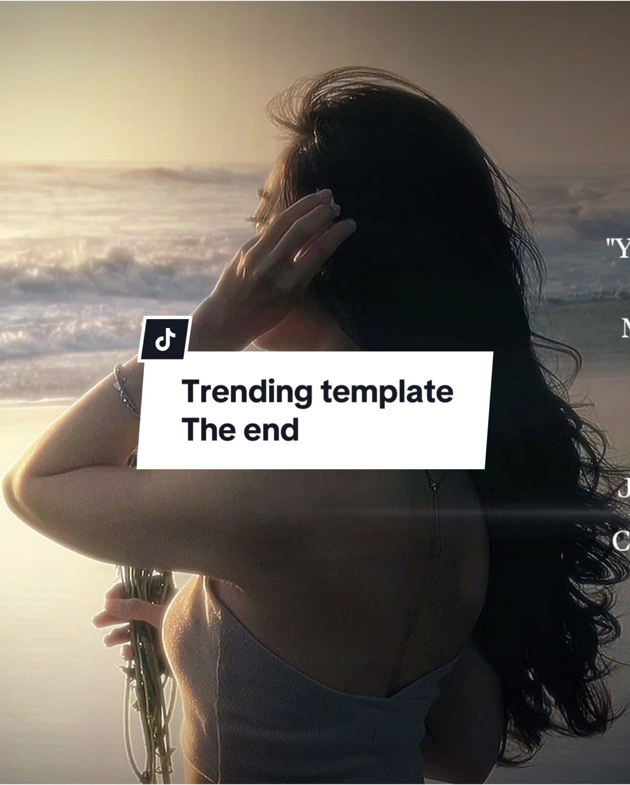 #CapCut The end #amazing #slowmo #trendingvideo #templatecapcut #wanzen #fyp 