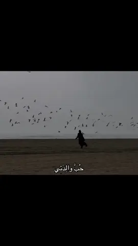 الحقيقةَ تَبقى•…🤍🤍🤍🤍🤍#مشاعر #foryou 