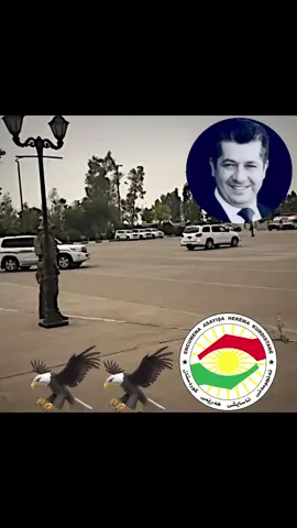 #bragawra ❤️🦅#masrourbarzani #barzani👑 #areenbarzani #kabusinahazan #sherwani #soran #foryou 