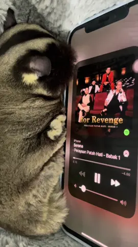 🎧 #serana #forrevenge #music #fyp #4u 
