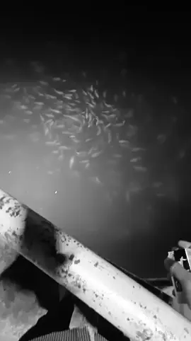 anh chẳng biết nói gì thêm, chỉ mong ngày đó chúng ta đừng gặp nhau 🙂. #xuhuong #fyp #sad 