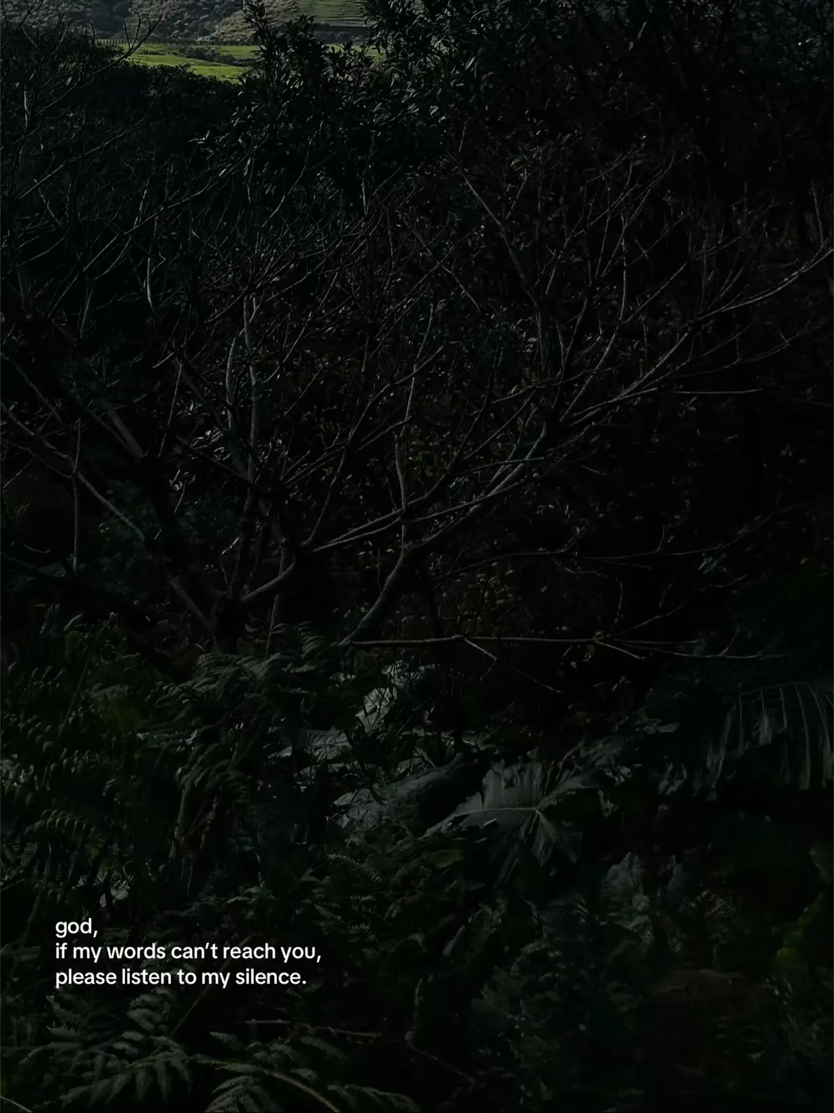 some days, silence is all i have.