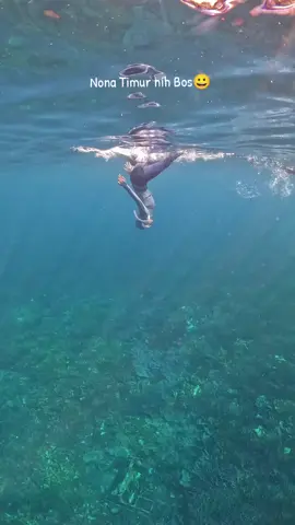 @Suker @Yunita di Rantauan  #freedivegirl #ternate #malukuutara 